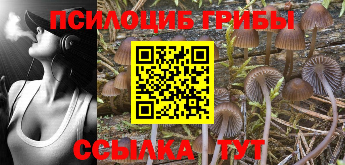 Псилоцибиновые грибы Magic Shrooms Дедовск
