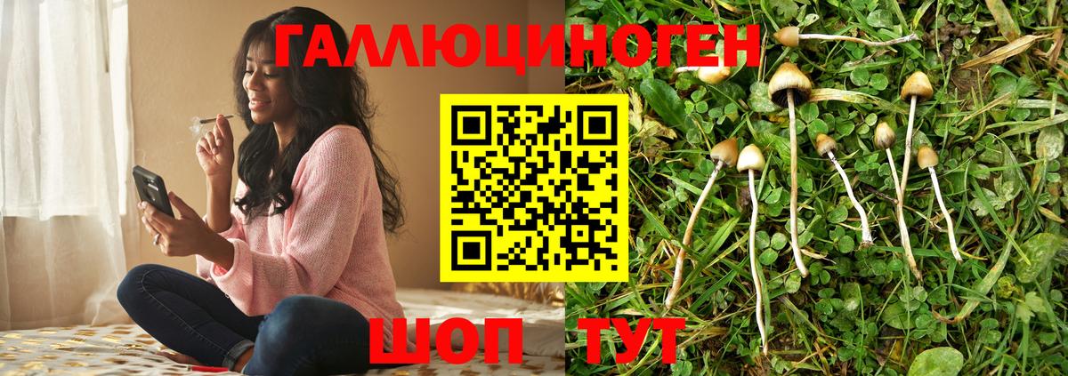 Дедовск  Галлюциногенные грибы Magic Shrooms  Галлюциногенные грибы прущие грибы  Вход с VPN 